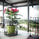 Bed & Breakfast I Quattro Grappoli Neive