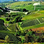 Bed & Breakfast I Quattro Grappoli Neive