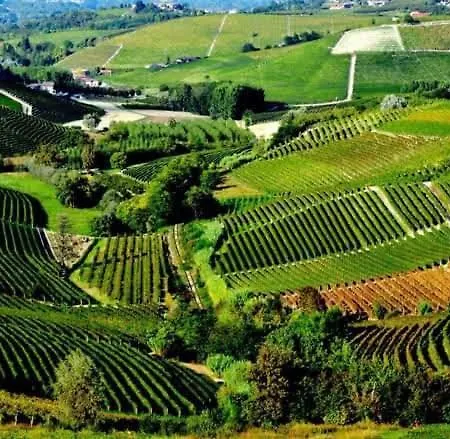 Panzió I Quattro Grappoli Neive