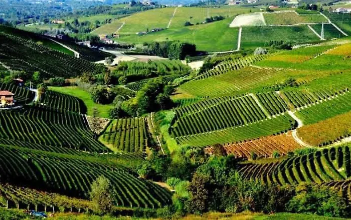 Bed and Breakfast I Quattro Grappoli Neive