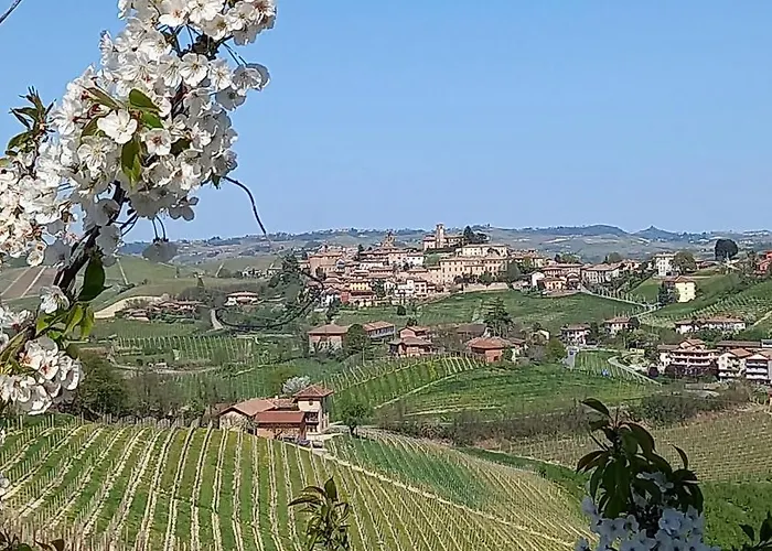 I Quattro Grappoli Bed and Breakfast 3*