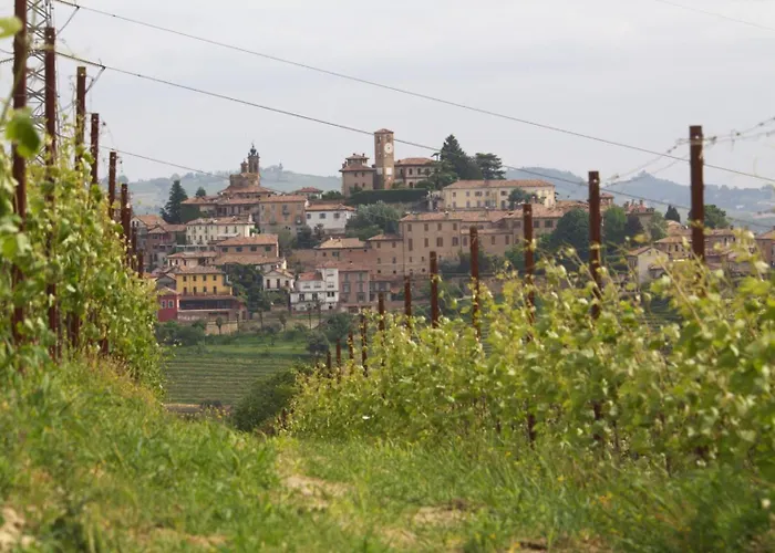 I Quattro Grappoli Neive